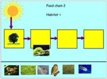 Group interaction at the interactive whiteboard - Food Chains's image