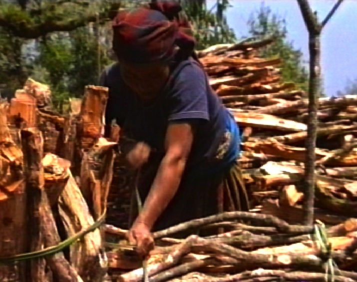 Dilmaya bundling wood in 1990's image