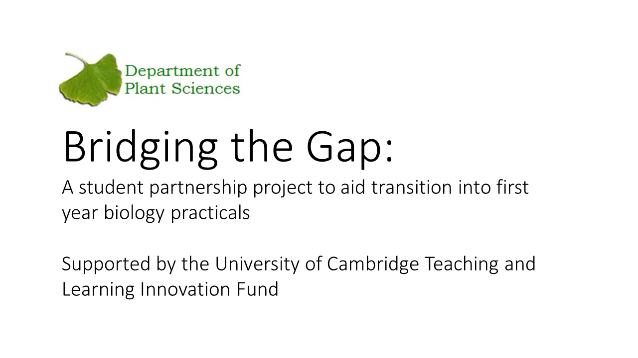 Teaching and Learning Innovation Fund Project 2015's image