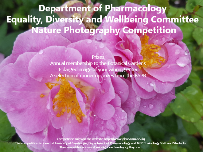 Nature Photography Competition's image
