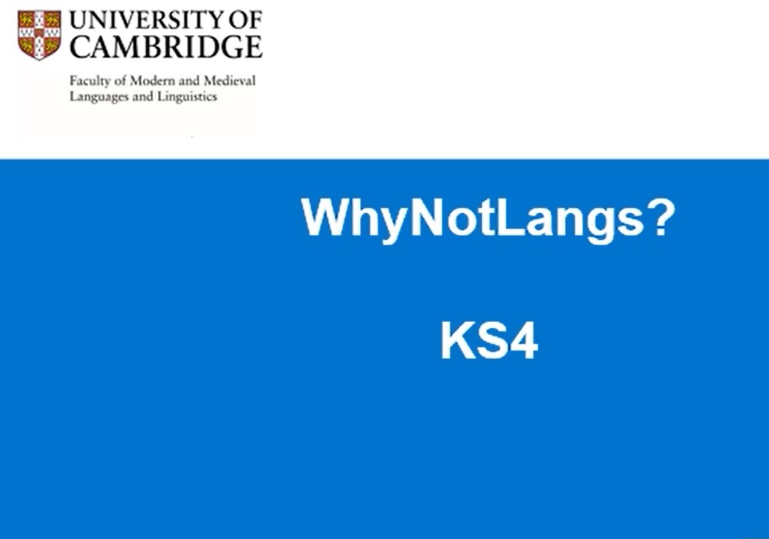 'Why Not Languages at A level?' By Stuart Davis's image