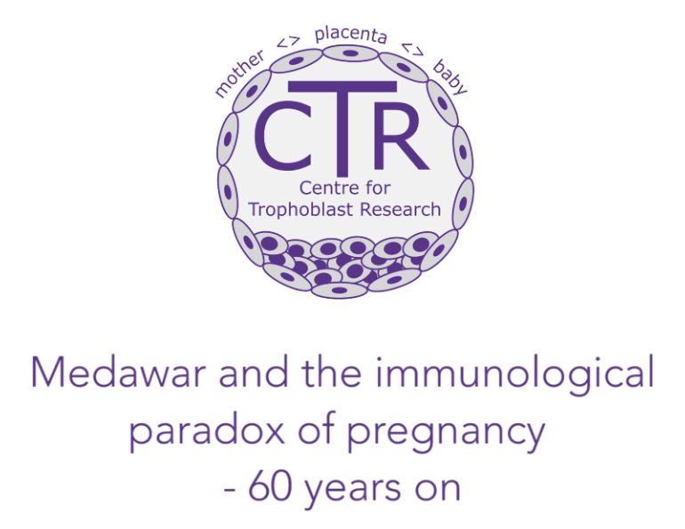 Medawar and the Immunological paradox of pregnancy – 60 years on's image