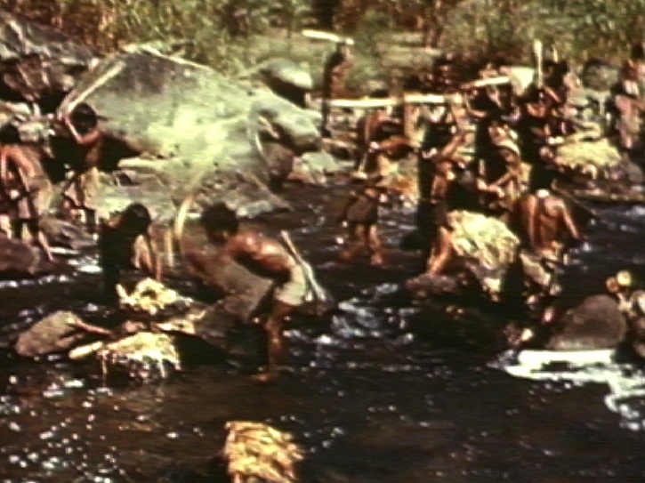 The films of Ursula Graham Bower in Nagaland, 1938-1944's image