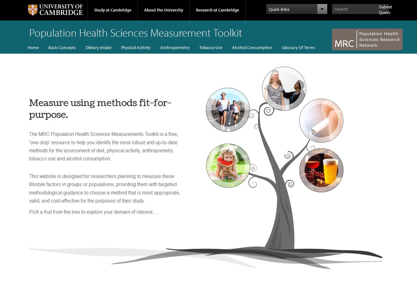 Population Health Sciences Measurement Toolkit's image