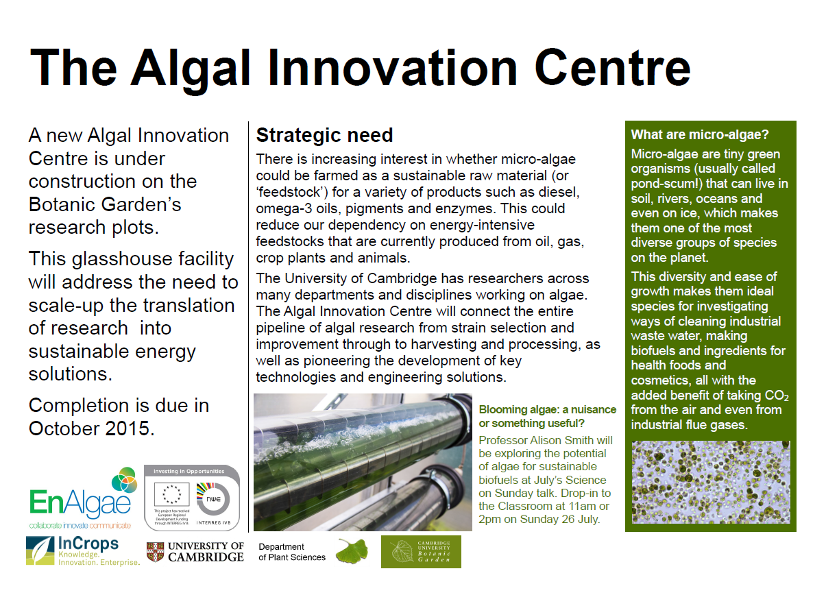 Algae Research at Cambridge's image