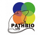 PathBio ERASMUS+ course's image
