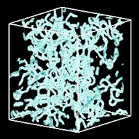 Reconnection of superfluid vortex bundles's image